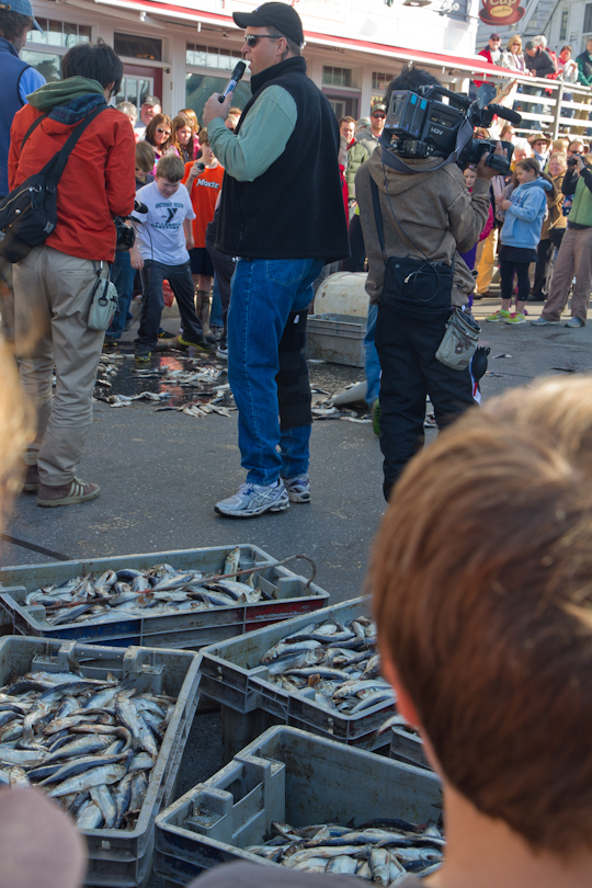 Fishermans Festival 2013 - 2-6