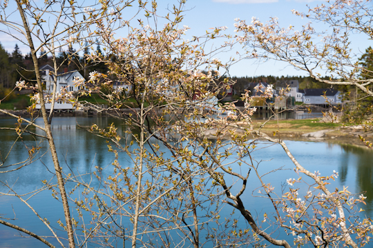 Vinalhaven, Maine