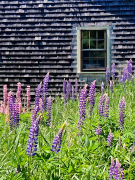 Monhegan B-3