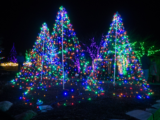 Boothbay Festival of Lights!