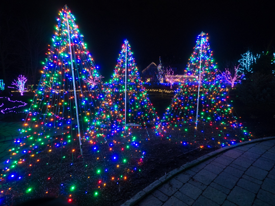 Christmas at the Botanical Gardens