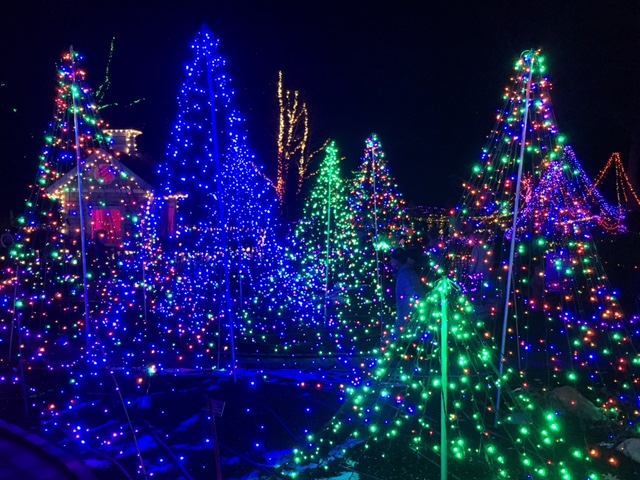 Gardens Aglow Starts November 15th!