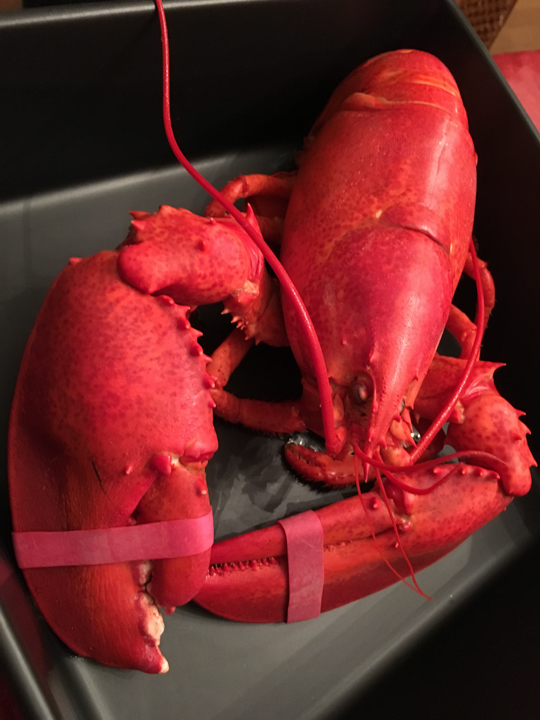 Lobster Year Round!